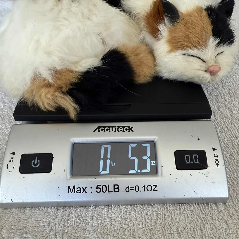 Cat Toy One Size White Black Calico Sleeping Cat